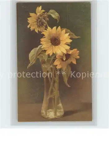 Maguire B. Sonnenblumen Vase Verlag Wenau Pastell Nr. 1214