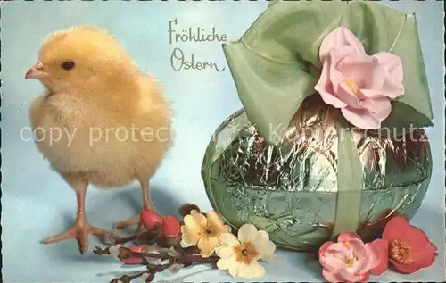 Ostern Easter Paques Kueken Osterei Blumen  / Greetings /