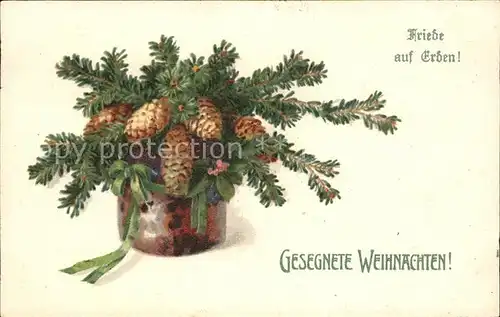 Tannenzapfen Weihnachten Litho  Kat. Pflanzen