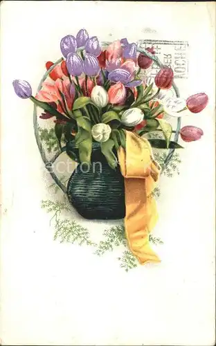 Blumen Tulpen Litho Kat. Pflanzen