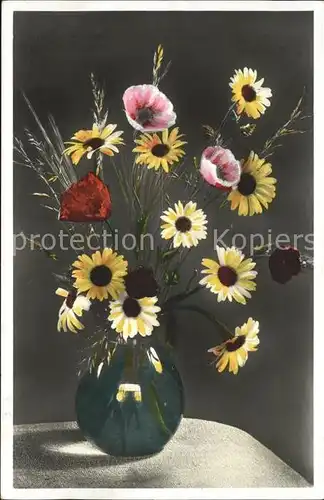 Foto Amag Nr. 65756 Margeriten Mohnblumen Vase  Kat. Fotografie