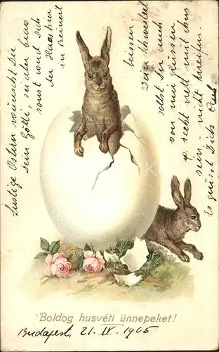 Hasen Ei Rosen Ostern Litho  Kat. Tiere