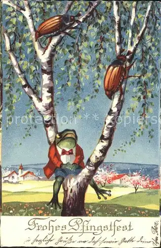 Vermenschlicht Frosch Maikaefer Pfingsten Litho / Kuenstlerkarte /