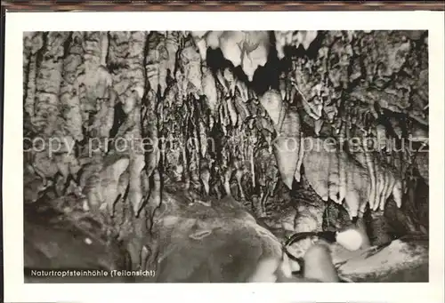 Hoehlen Caves Grottes Naturtropfsteinhoehle Niedaltdorf Saar Kat. Berge