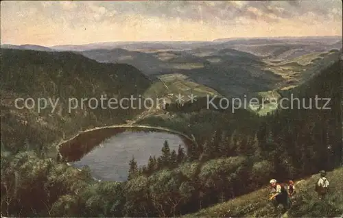 Hoffmann Heinrich Feldberg Seebuck Feldsee Nr. 203 Kat. Kuenstlerkarte