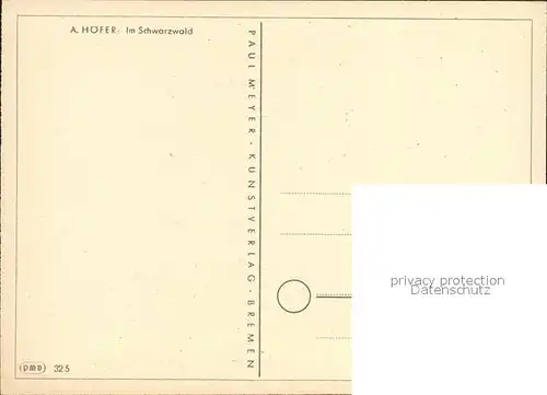 Kuenstlerkarte A. Hoefer Im Schwarzwald  Kat. Kuenstlerkarte