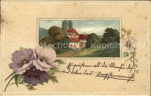 Blumen Haus Litho Kat. Pflanzen