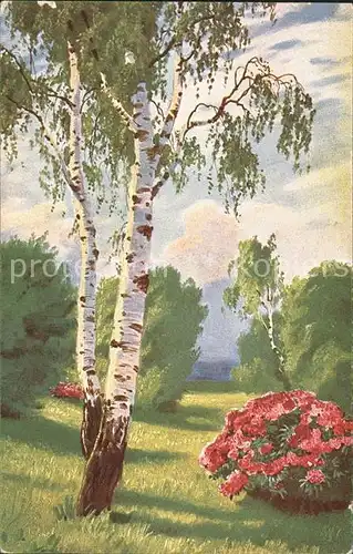 Verlag Peluba Nr. 212 Baum Blumen  Kat. Verlage