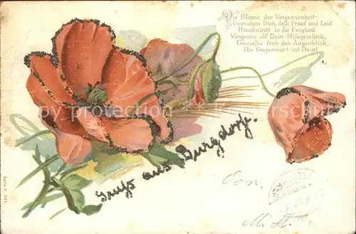 Blumen Mohnblumen Litho Gedicht  Kat. Pflanzen