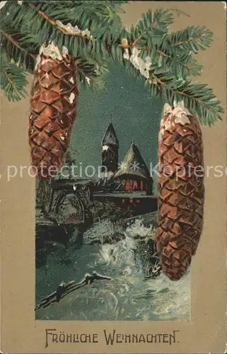 Tannenzapfen Weihnachten Litho Kat. Pflanzen