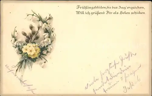 Blumen Primeln Schneegloeckchen Weidenkaetzchen Gedicht Spruch  Kat. Pflanzen