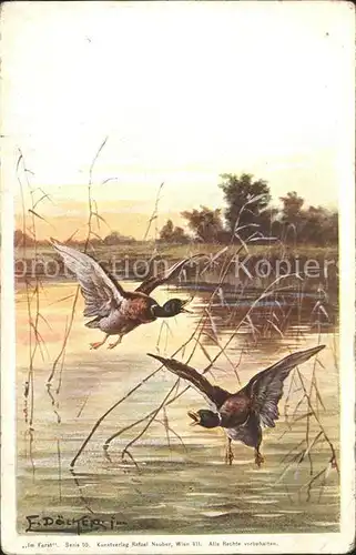 Doecker E. Enten Im Forst Kat. Kuenstlerlitho