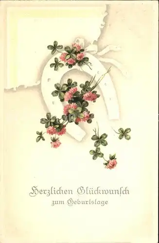 Hufeisen Kleeblaetter Kleeblumen Glueckwunsch Geburtstag Litho Kat. Greetings