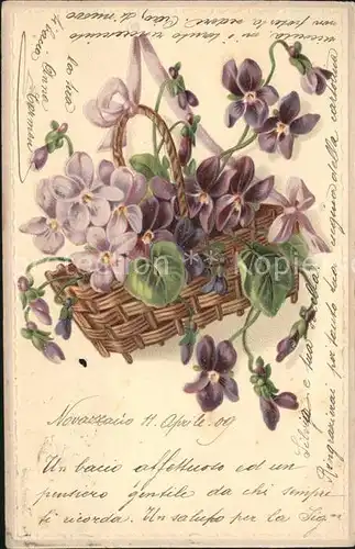 Blumen Veilchen Korb Litho Kat. Pflanzen