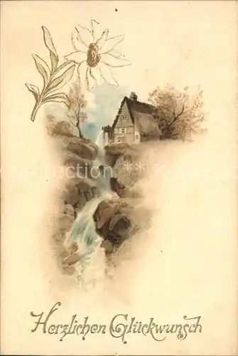 Wassermuehle Quelle Edelweiss Glueckwunsch Litho Kat. Gebaeude und Architektur