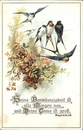 Voegel Schwalben Litho Kat. Tiere