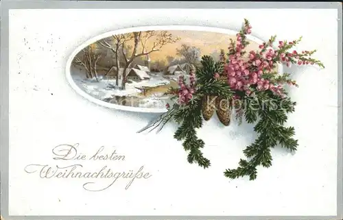 Weihnachten Tannenzapfen Litho Kat. Greetings