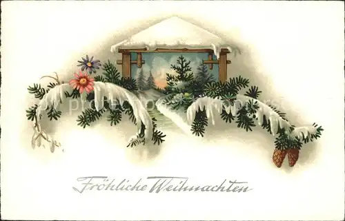 Weihnachten Tannenzapfen Blumen Litho Kat. Greetings