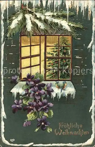 Weihnachten Blaumeisen Fenster Veilchen Litho Kat. Greetings