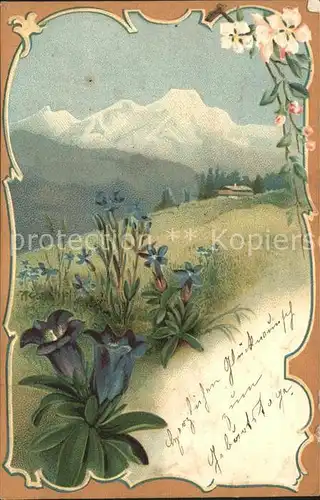 Blumen Enzian Berge Natur Litho  Kat. Pflanzen