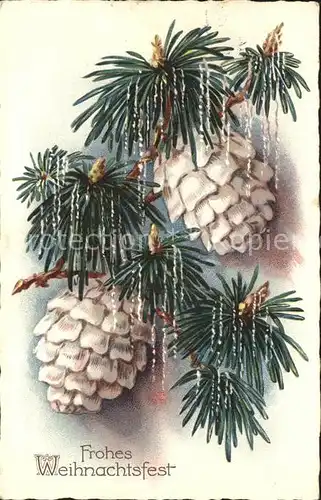 Weihnachten Tannenzapfen Litho Kat. Greetings