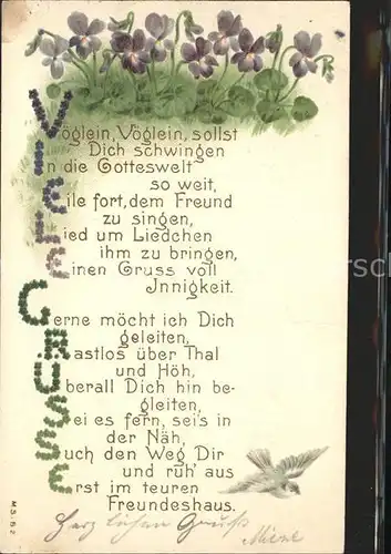 Blumengruesse Veilchen Taube Gedicht Litho Kat. Greetings