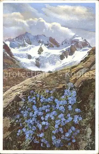 Verlag Photochromie Nr. 1481 Serie 579 Himmelsherold Engadin Berninagruppe Kat. Verlage