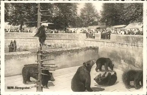 Baeren Bern Baerengraben Kat. Tiere