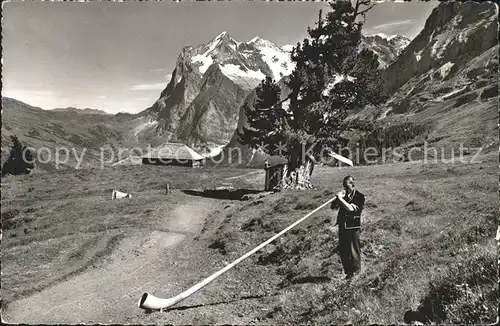 Alphorn Alphornblaeser Wetterhorn  Kat. Musik