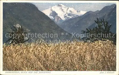 Foto Gaberell J. Nr. 4463 aehrenfeld Jungfrau Kat. Fotografie