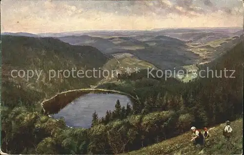 Hoffmann Heinrich Feldberg Seebuck Feldsee  Kat. Kuenstlerkarte