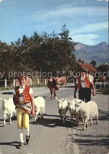 Ziege Kuehe Alpfahrt Appenzellerland  Kat. Tiere