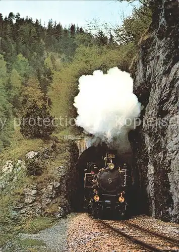 Lokomotive HG 3 3 1067 Kirchettunnel Ballenberg Dampfbahn Kat. Eisenbahn