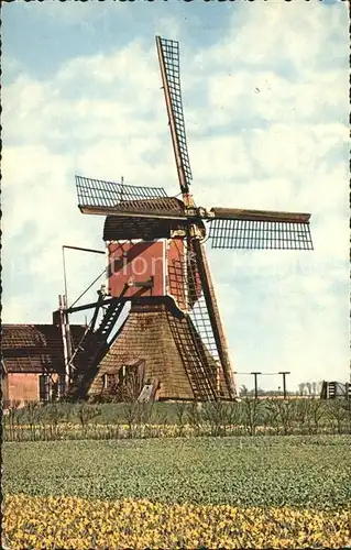 Windmuehle Holland  Kat. Gebaeude und Architektur