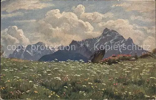 Kuenstlerkarte W. Buerger Bluehende Alpe Nr. 3789  Kat. Kuenstlerkarte