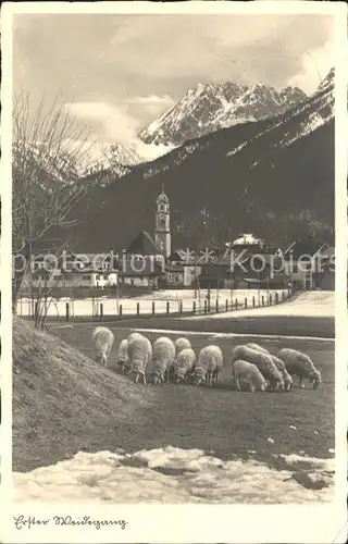 Schafe Weide Bahnpost Stempel Kat. Tiere