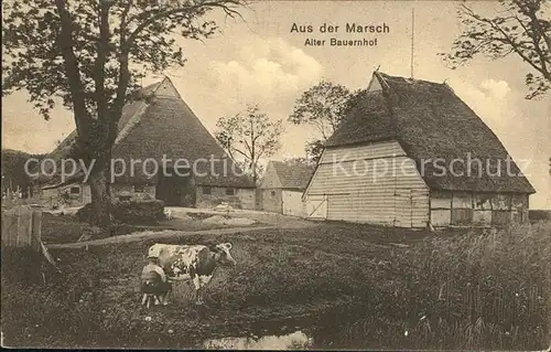 Bauernhof Marsch Kuh Handmelken  Kat. Landwirtschaft