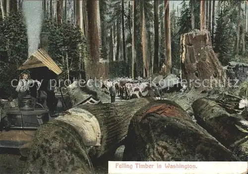 Berufe Forstwirtschaft Holzfaeller Felling Timber Washington  Kat. Berufe