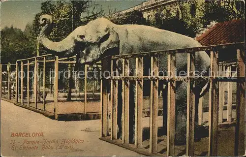 Elefant Baby Barcelona Parque Jardin Zoologico Kat. Tiere