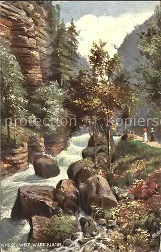 Verlag Tucks Oilette Nr. 660 B Wilde Klamm Saechsische Schweiz  Kat. Verlage