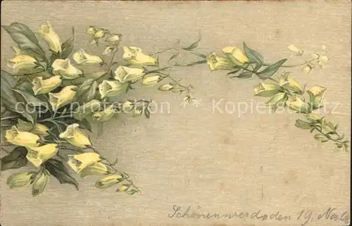 Blumen Schoenenwerd Litho Kat. Pflanzen