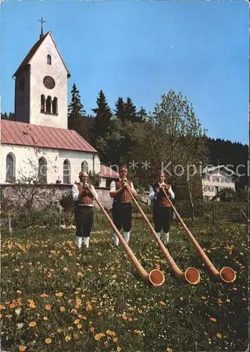 Alphorn Alphornblaeser Diepolz  Kat. Musik