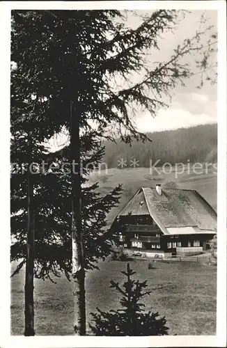 Schwarzwald Schwarzwaldhof Kat. Regionales