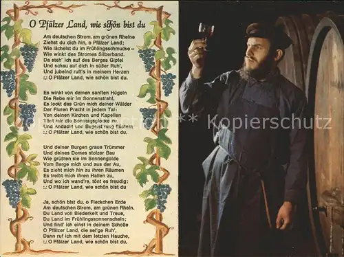 Wein O Pfaelzer Land wie schoen bist du  Kat. Lebensmittel