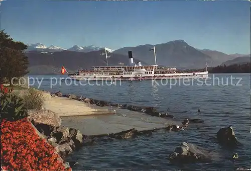 Dampfer Seitenrad Uri Luzern Vierwaldstaettersee  Kat. Schiffe