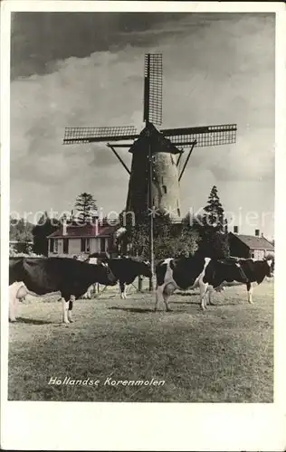 Windmuehle Korenmolen Holland Kuehe  Kat. Gebaeude und Architektur