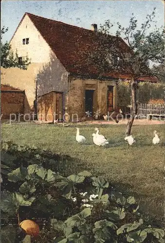 Verlag Photochromie Nr. 4032 Serie 254 Bauernhaus Gaense Huehner  Kat. Verlage