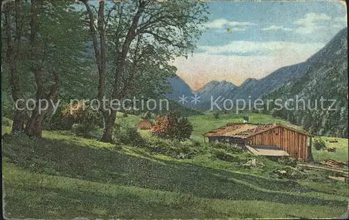 Verlag Photochromie Nr. 530 4 Baeume Berge Huette  Kat. Verlage