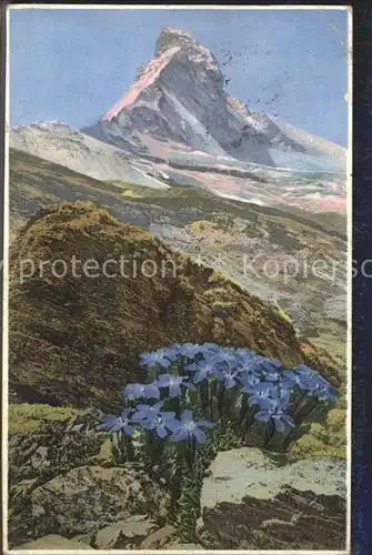 Verlag Photochromie Nr. 1476 Serie 578 Bayrischer Enzian Matterhorn  Kat. Verlage