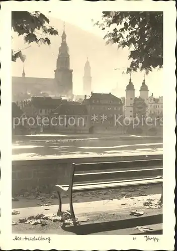 Foto Popp Nr. 81 Alt Heidelberg Kat. Fotografie